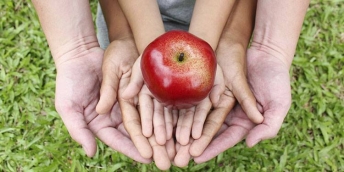 HACCP HACCP